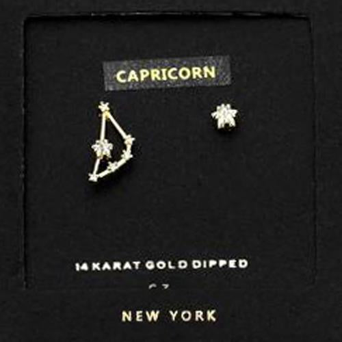 CARPRICORN CZ Star Earrings
